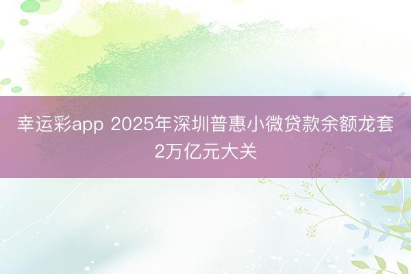 幸运彩app 2025年深圳普惠小微贷款余额龙套2万亿元大关