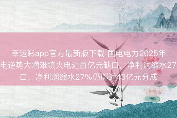 幸运彩app官方最新版下载 国电电力2025年级迹双降：新动力发电逆势大增难填火电近百亿元缺口，净利润缩水27%仍掷近43亿元分成