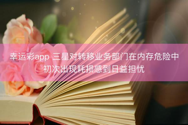 幸运彩app 三星对转移业务部门在内存危险中初次出现耗损感到日益担忧